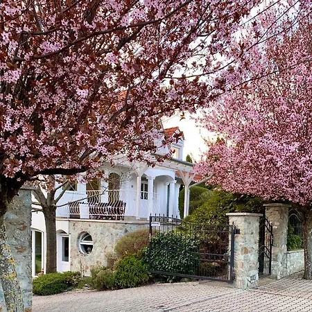 بيت ضيافة Szent Kristof Panzio