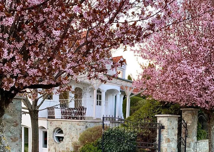 בית הארחה Szent Kristof Panzio